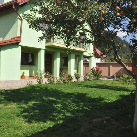 Vilman House Hotel Risnov Exterior photo